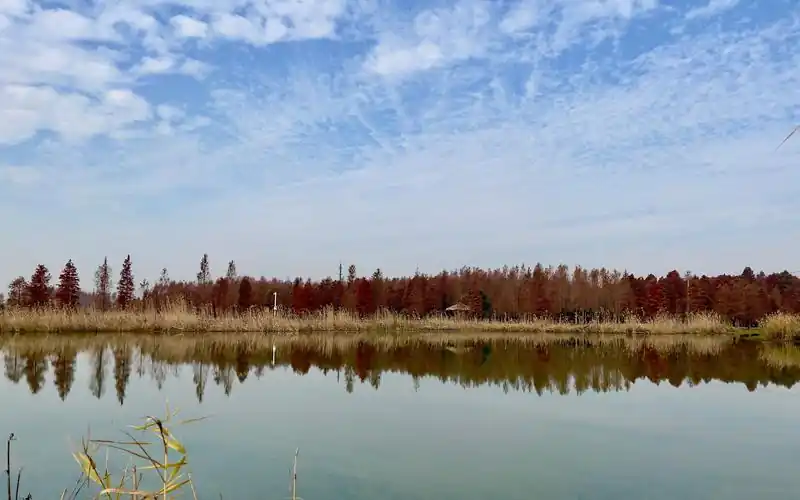 会计上岗证网络课程助你轻松通关