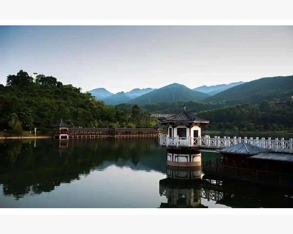 健脾胃的水果有哪些？