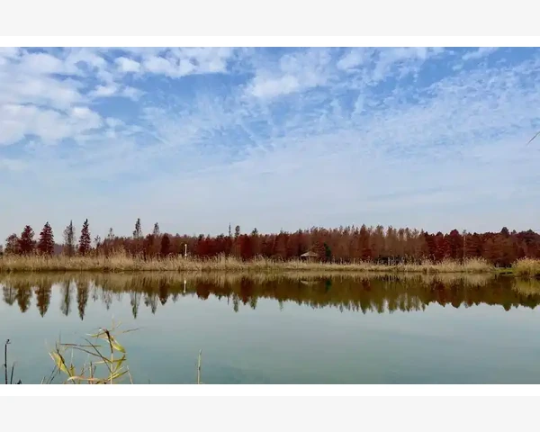 阳虚体质如何调理便秘，助你畅快排便