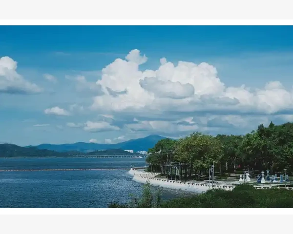 胃疼应该吃中药还是饭前喝中药